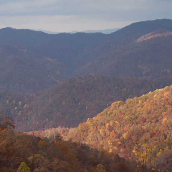 High ridge panorama